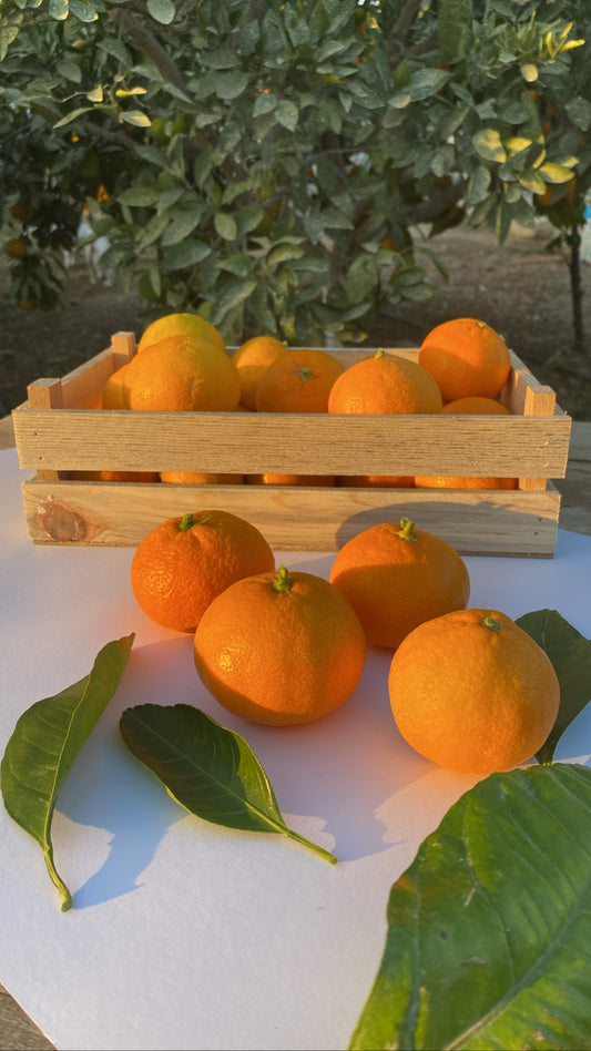 Organik Mandalina (3 Kilo) - The 7