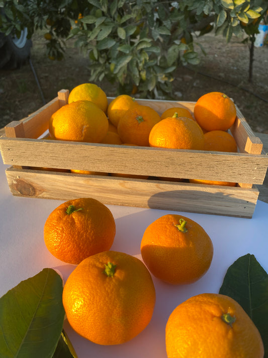 Organik Mandalina (3 Kilo) - The 7